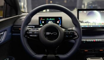 
										Byd Dolphin Mini GS /2027 cheio									