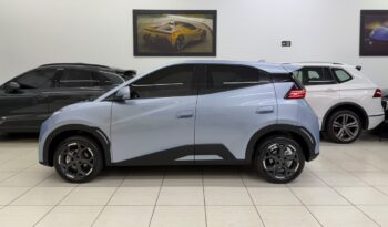 
										Byd Dolphin Mini GS /2027 cheio									