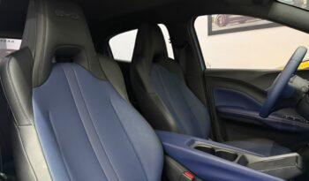 
										Byd Dolphin Mini GS /2027 cheio									