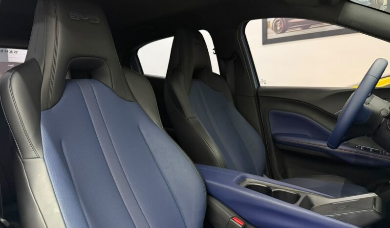 
								Byd Dolphin Mini GS /2027 cheio									