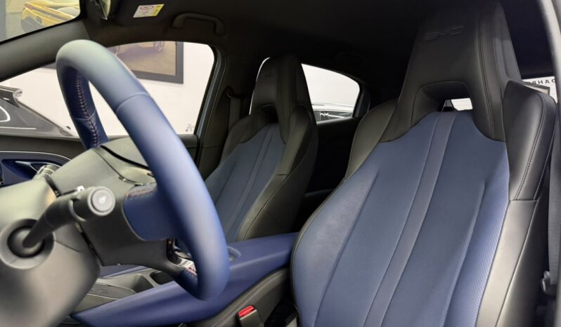 
								Byd Dolphin Mini GS /2027 cheio									